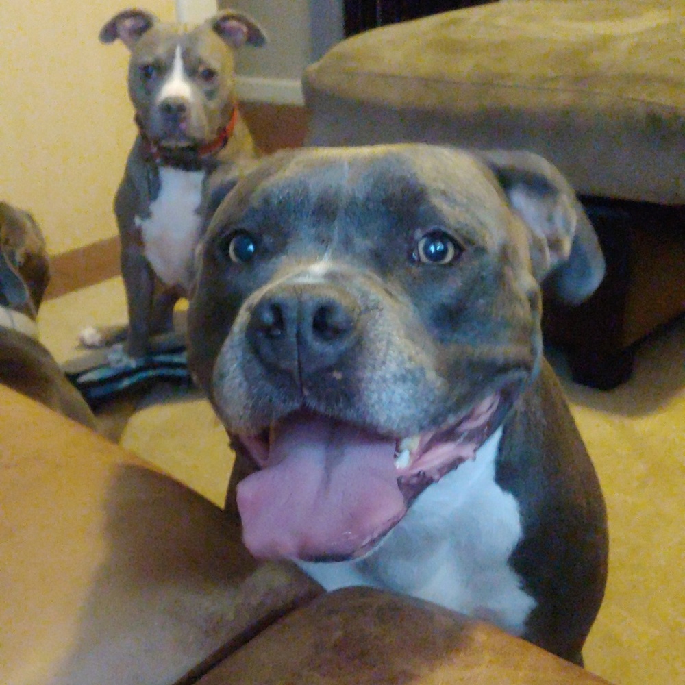 Meet your Posher, Gabby